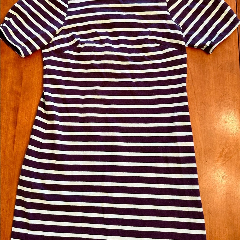 Anthropologie Striped Navy and White Mini Dress